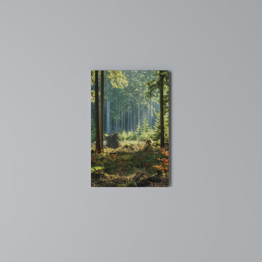 SUNLIT FOREST SERENADE Stampa su Tela Verticale