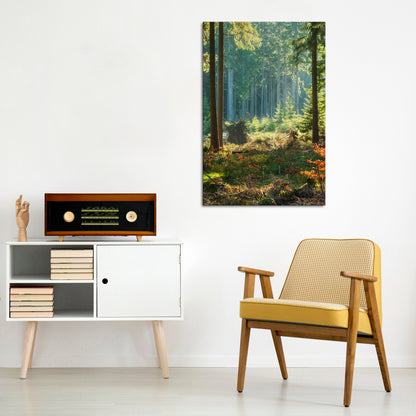 SUNLIT FOREST SERENADE Stampa su tela verticale