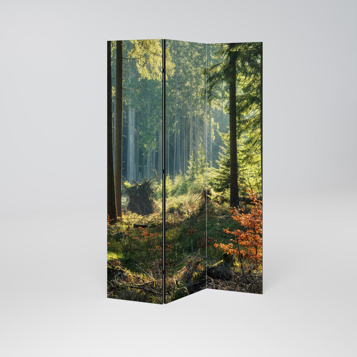 SUNLIT FOREST SERENADE Paravento Decorativo a 3 Pannelli