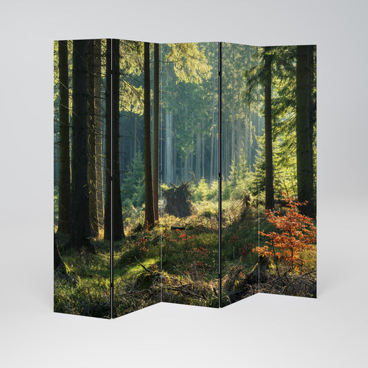 Serenata decorativa per ambienti a 5 pannelli SUNLIT FOREST SERENADE