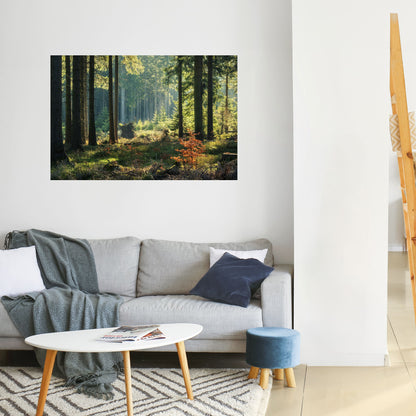Poster orizzontale staccabile e attaccabile "Serenata nella foresta illuminata dal sole"