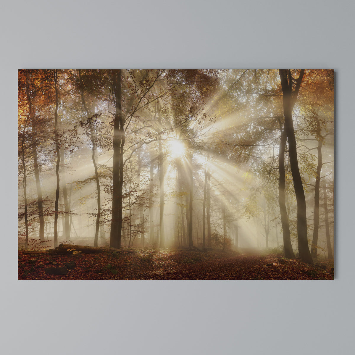 WHISPERS OF AUTUMN Stampa su tela orizzontale