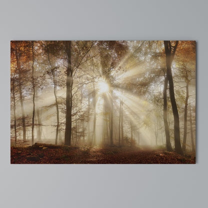 WHISPERS OF AUTUMN Stampa su tela orizzontale