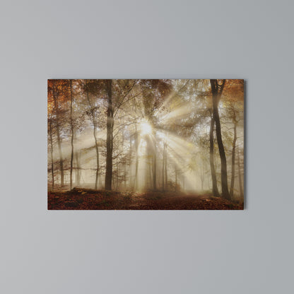 WHISPERS OF AUTUMN Stampa su tela orizzontale