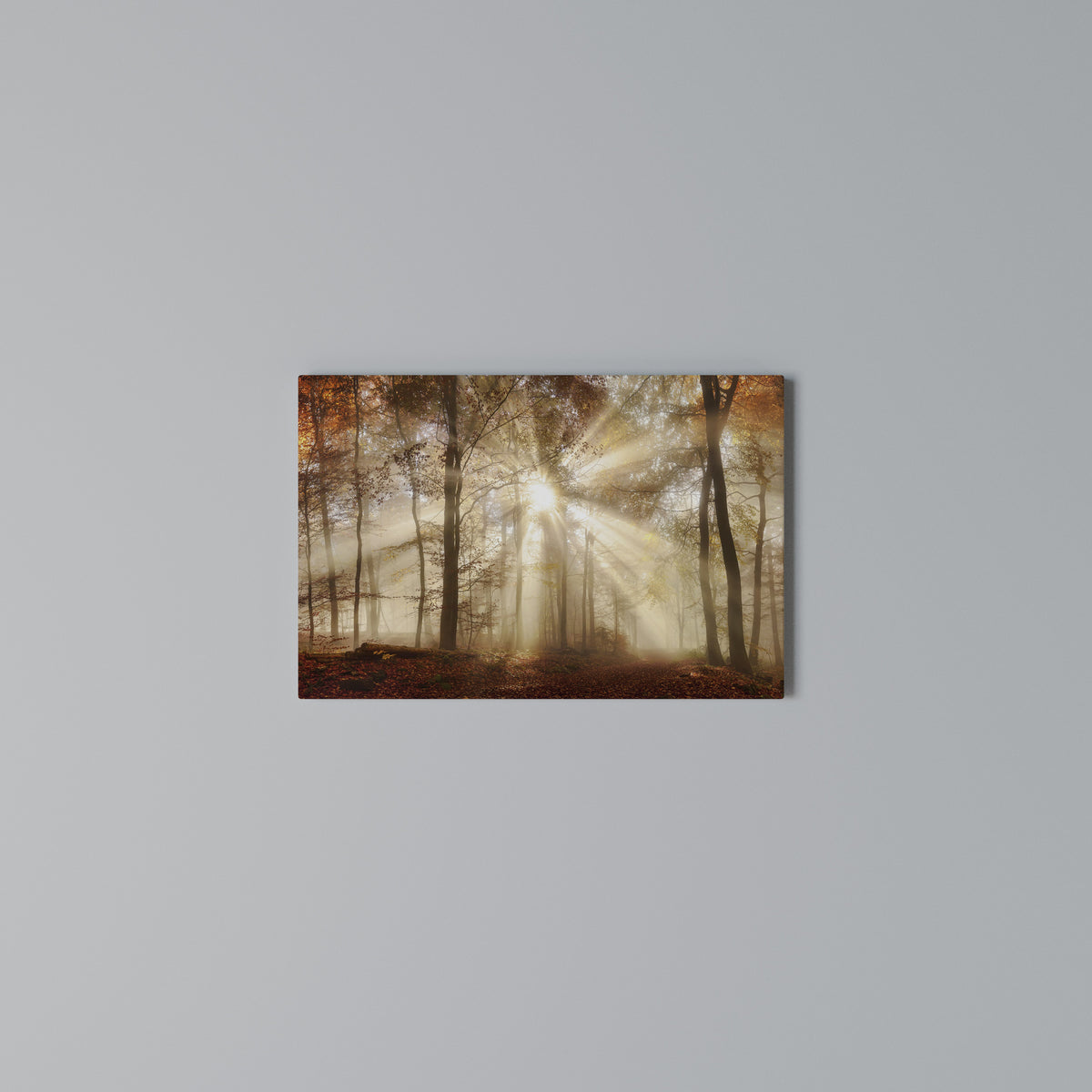 WHISPERS OF AUTUMN Stampa su tela orizzontale