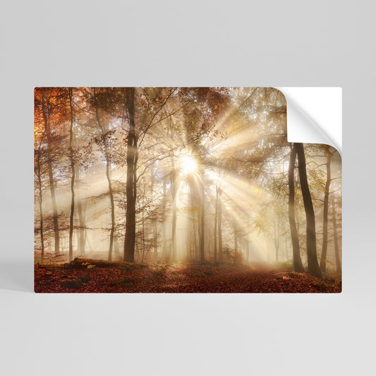 Poster orizzontale staccabile e attaccabile SUSSURRI D'AUTUNNO