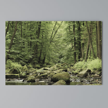TRANQUIL STONES AND STREAMS Stampa su tela orizzontale
