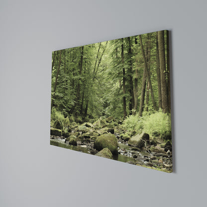 TRANQUIL STONES AND STREAMS Stampa su tela orizzontale
