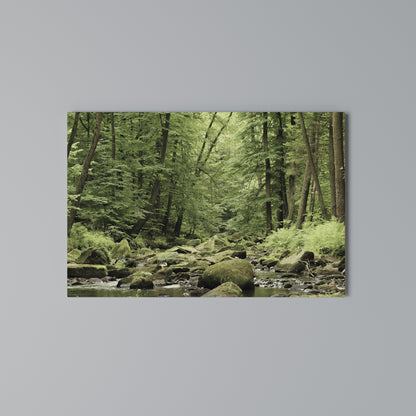 TRANQUIL STONES AND STREAMS Stampa su tela orizzontale