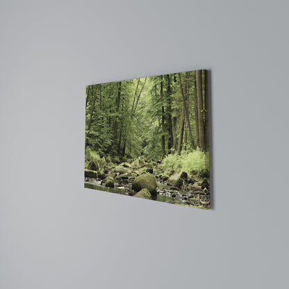 TRANQUIL STONES AND STREAMS Stampa su tela orizzontale