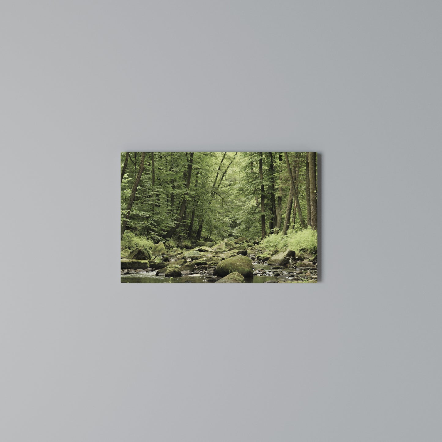 TRANQUIL STONES AND STREAMS Stampa su tela orizzontale