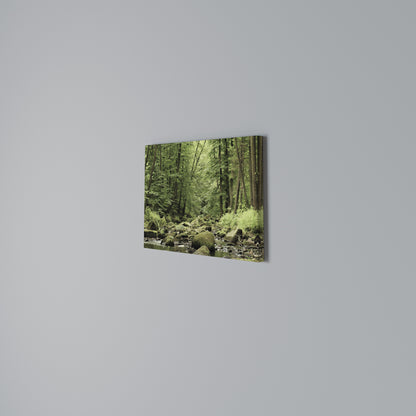 TRANQUIL STONES AND STREAMS Stampa su tela orizzontale