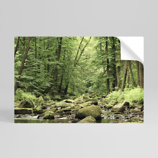 Poster orizzontale staccabile e attaccabile "PIETRE E RUSCELLI TRANQUILLI"