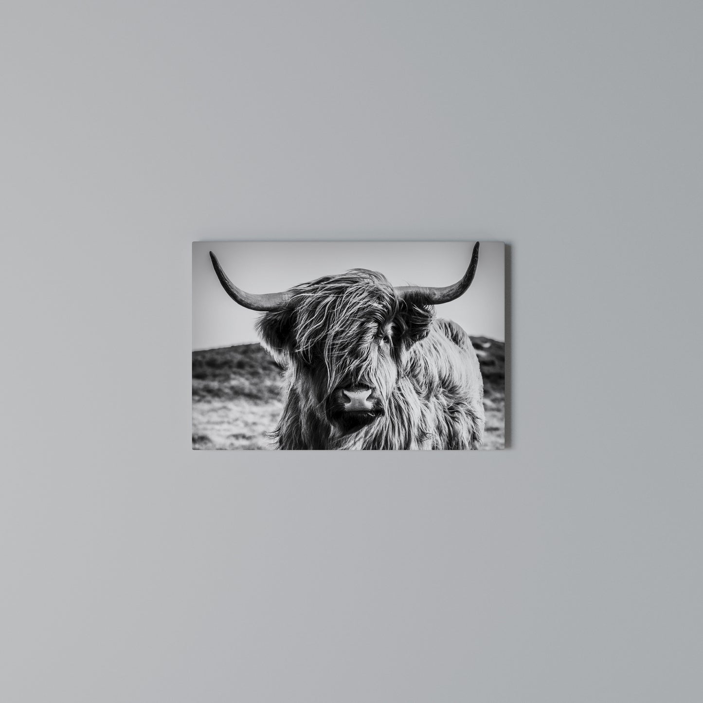 WILD SPIRIT REFLECTED Horizontal Canvas Print