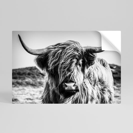WILD SPIRIT REFLECTED Poster orizzontale staccabile e attaccabile