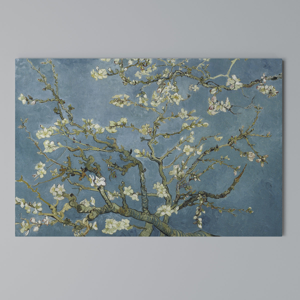 ALMOND BLOSSOM Stampa su tela orizzontale