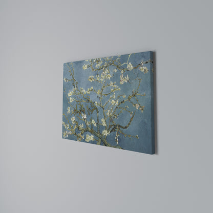 ALMOND BLOSSOM Stampa su tela orizzontale