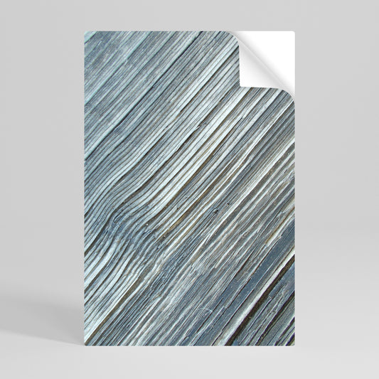 Poster verticale staccabile e attaccabile "NATURE'S RIBBON RELIC"