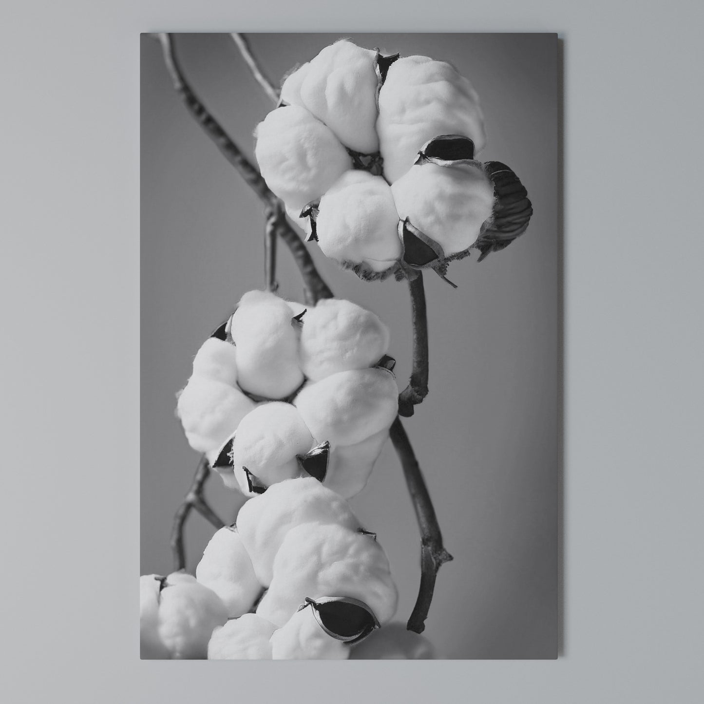 COTTON DREAMSCAPE Stampa su Tela Verticale