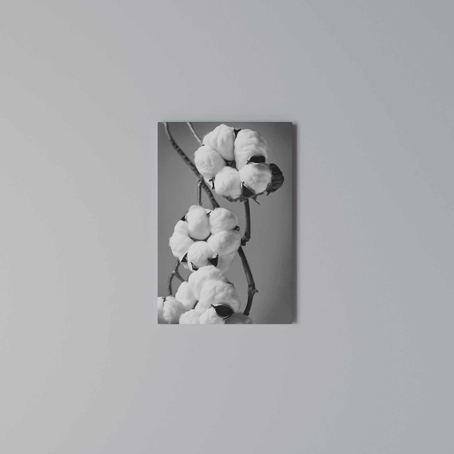 COTTON DREAMSCAPE Stampa su Tela Verticale