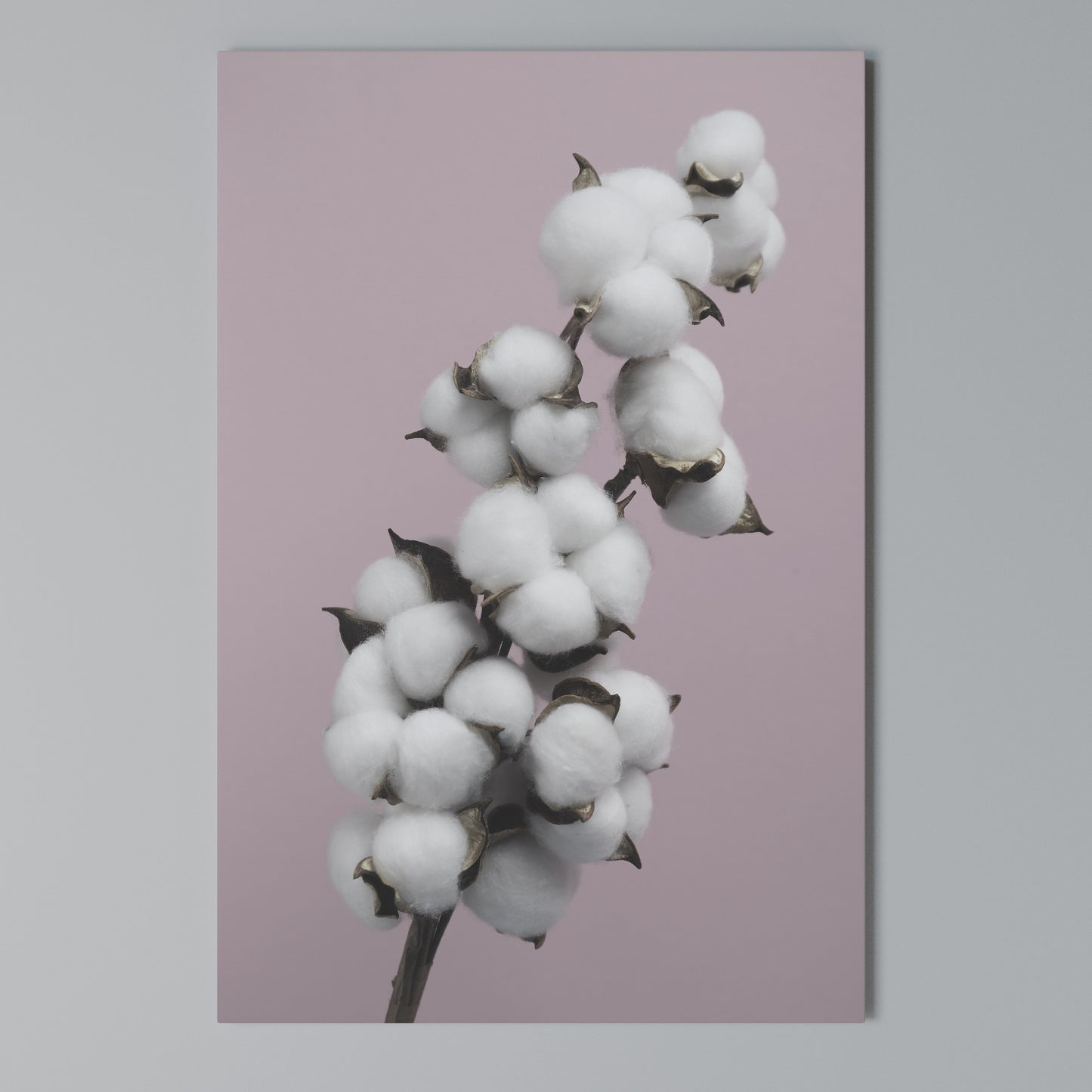 COTTON CLOUDS WHISPER Stampa su Tela Verticale