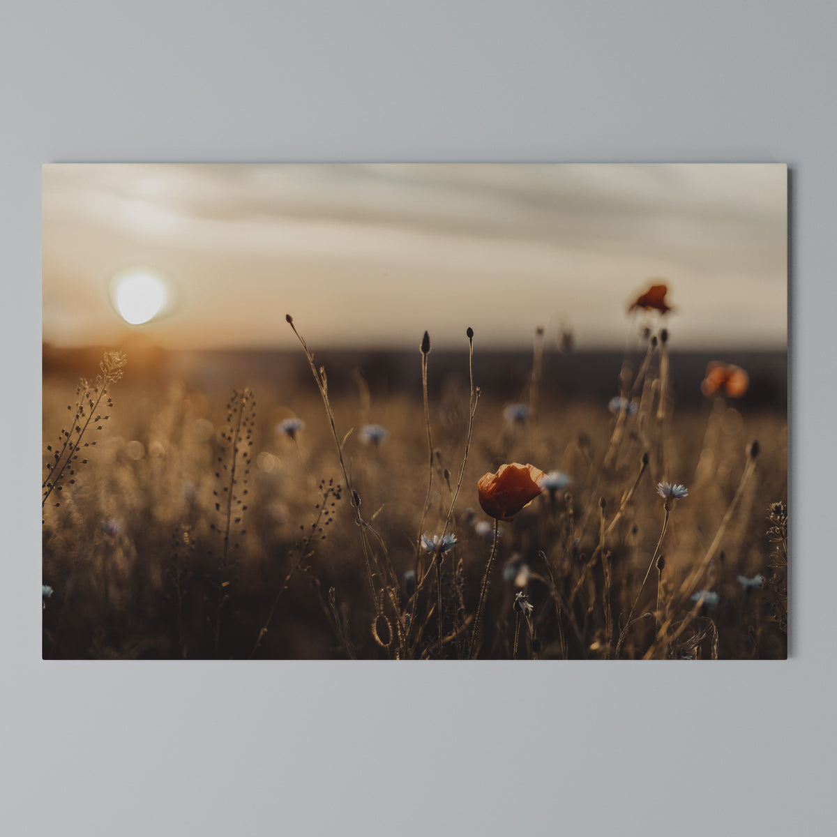 GLOWING MEADOWS AT DUSK Stampa su tela orizzontale