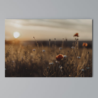 GLOWING MEADOWS AT DUSK Stampa su tela orizzontale