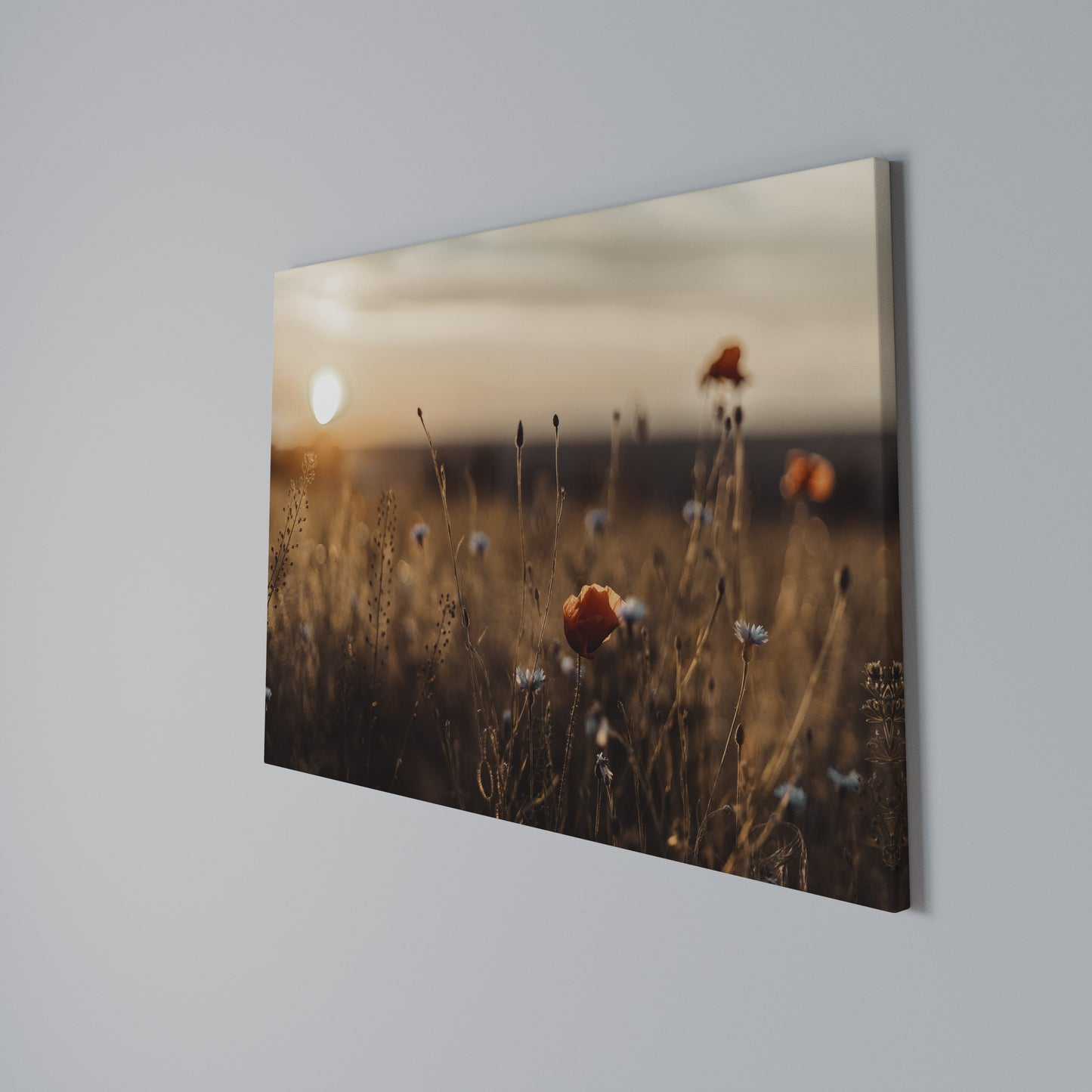 GLOWING MEADOWS AT DUSK Stampa su tela orizzontale