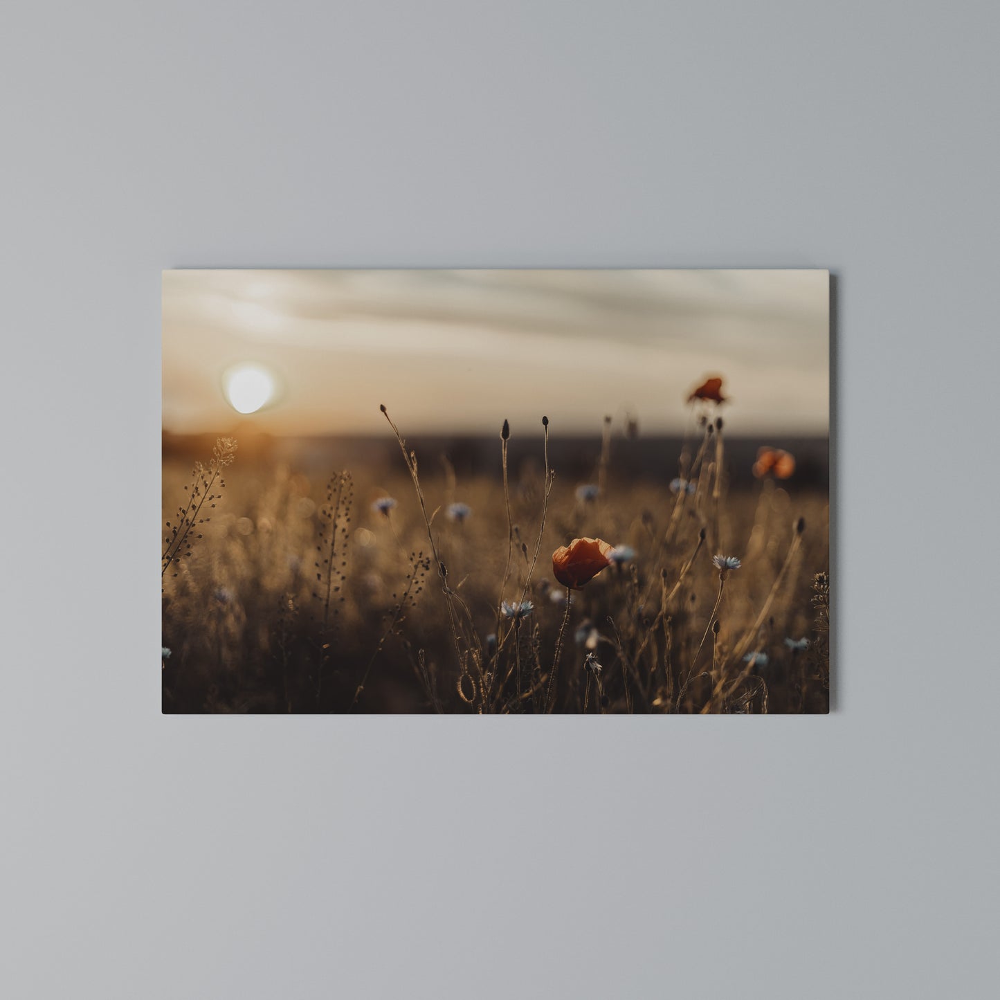 GLOWING MEADOWS AT DUSK Stampa su tela orizzontale
