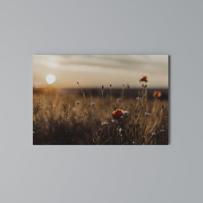 GLOWING MEADOWS AT DUSK Stampa su tela orizzontale