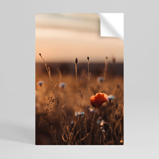 Poster verticale staccabile e attaccabile "PRATI LUMINOSI AL TRAMONTO"
