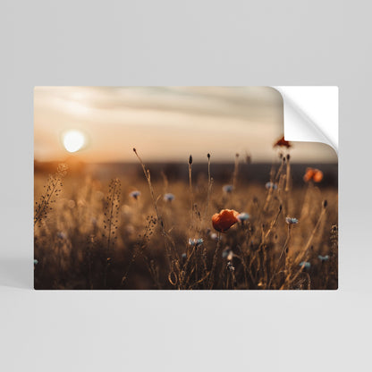 Poster orizzontale staccabile e attaccabile "PRATI LUMINOSI AL TRAMONTO"