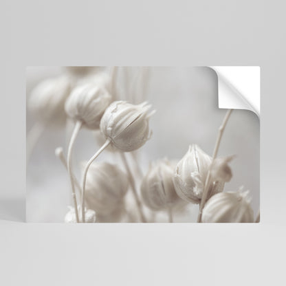 Poster orizzontale staccabile e attaccabile MYSTICAL BOTANICAL BLUSH