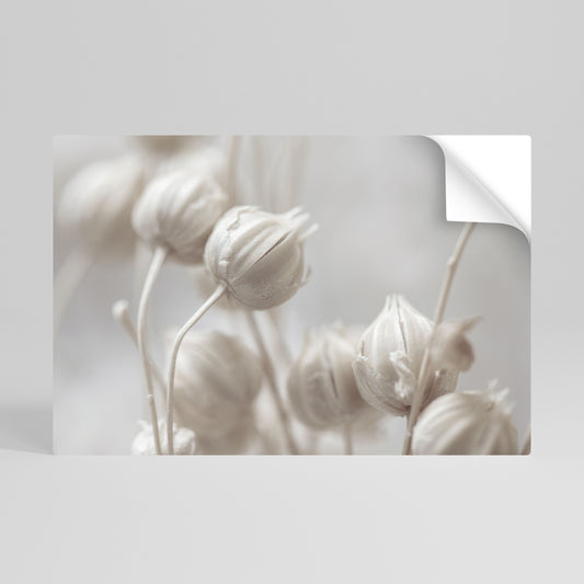 Poster orizzontale staccabile e attaccabile MYSTICAL BOTANICAL BLUSH