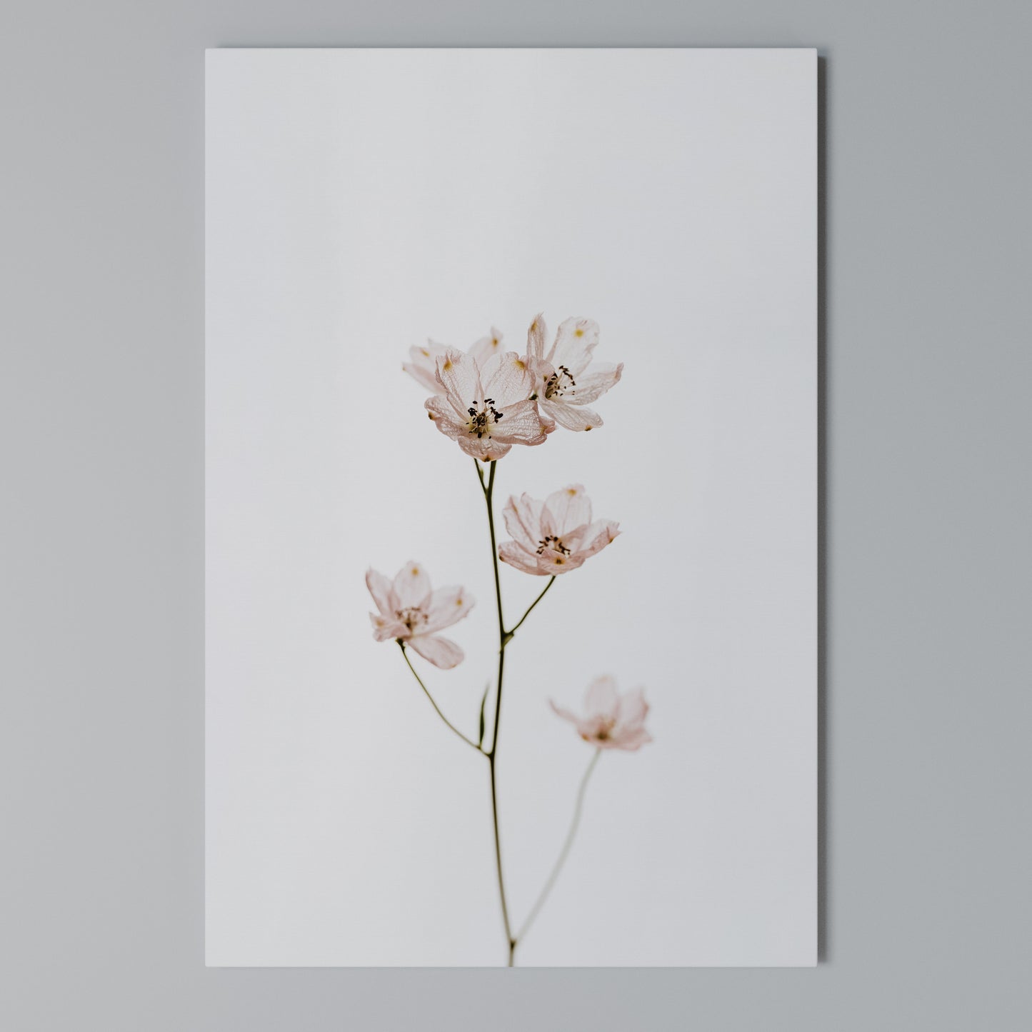WHISPERS OF PINK Stampa su Tela Verticale