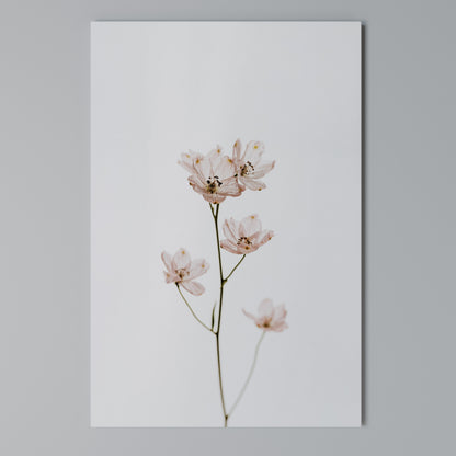 WHISPERS OF PINK Stampa su Tela Verticale