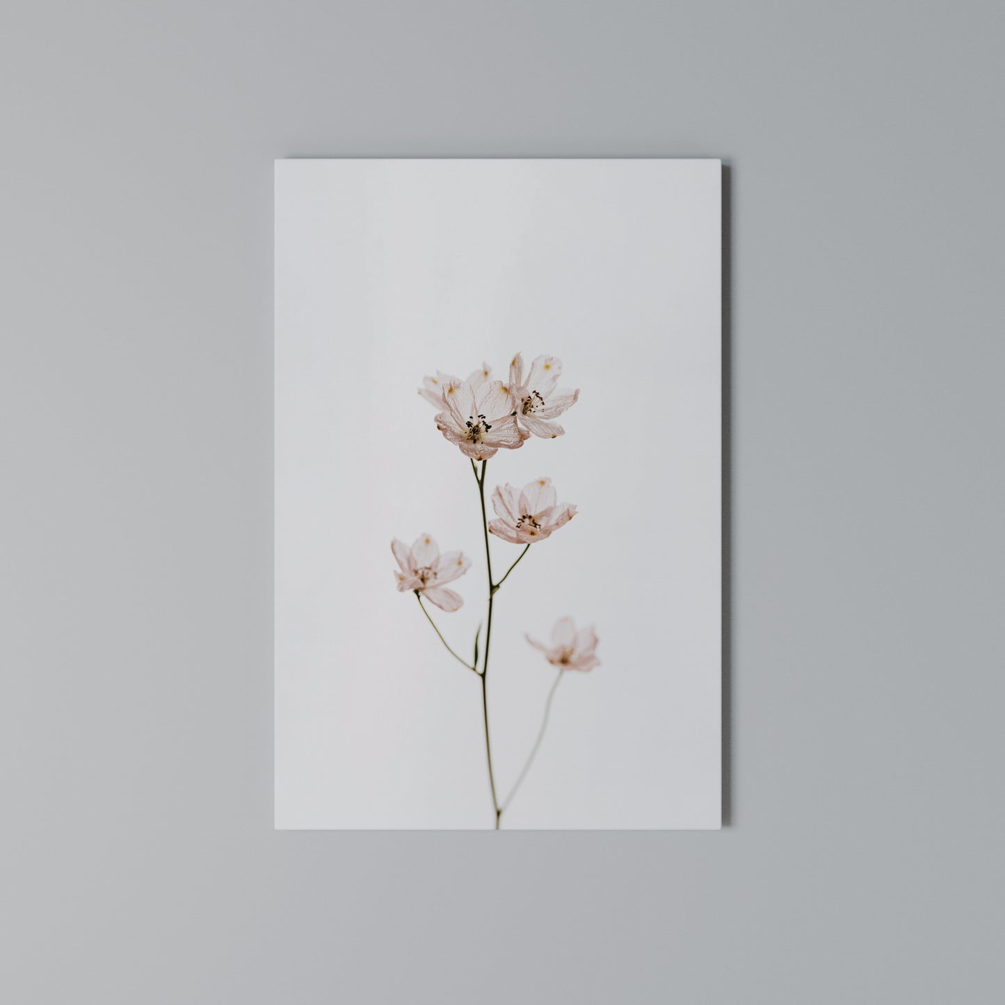 WHISPERS OF PINK Stampa su Tela Verticale