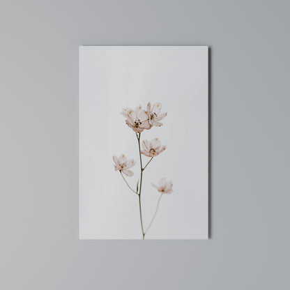WHISPERS OF PINK Stampa su Tela Verticale