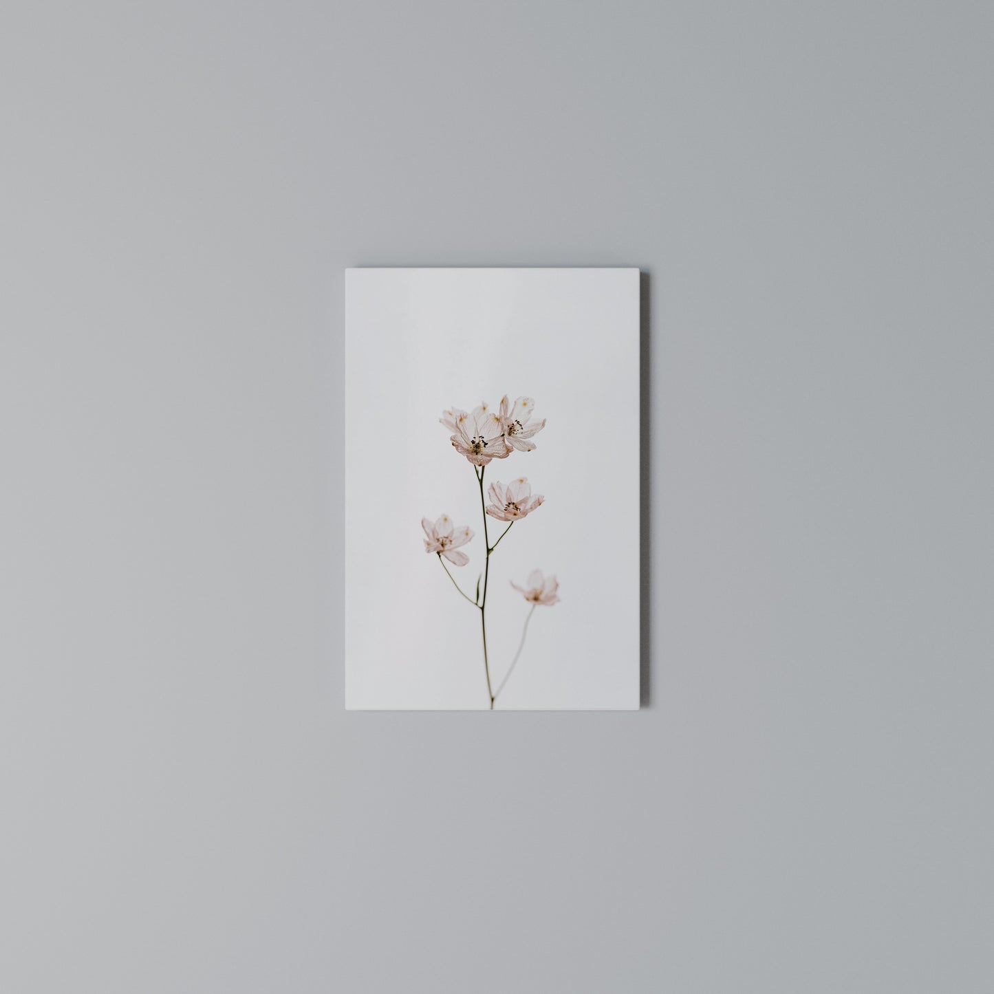 WHISPERS OF PINK Stampa su Tela Verticale