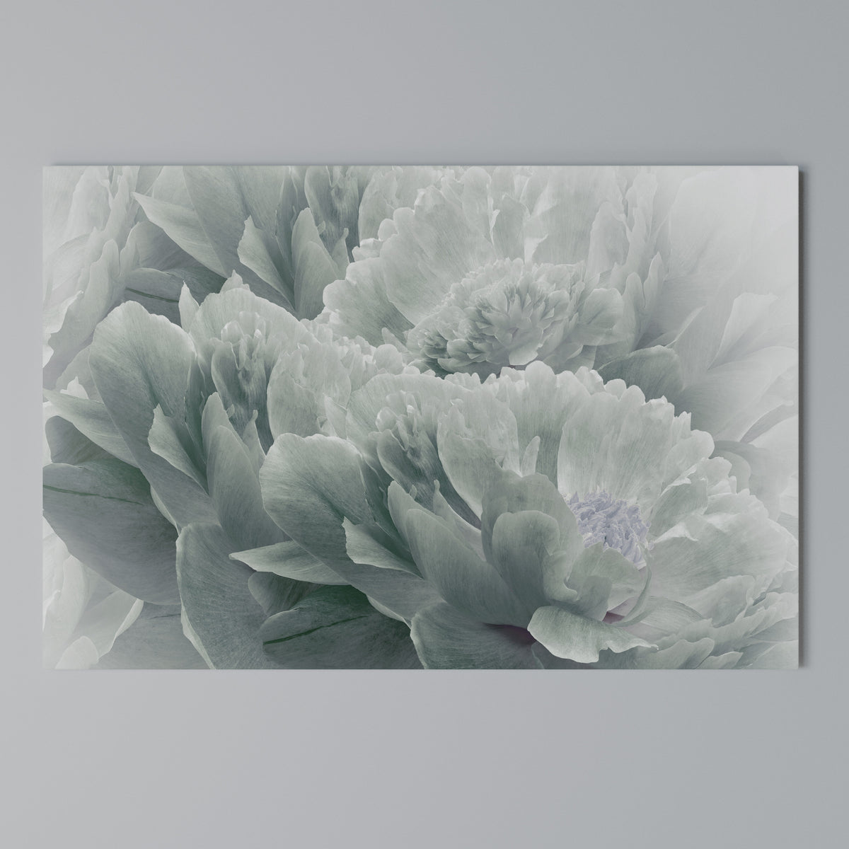 TREE PEONIES Stampa su tela orizzontale
