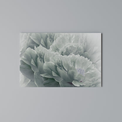 TREE PEONIES Stampa su tela orizzontale