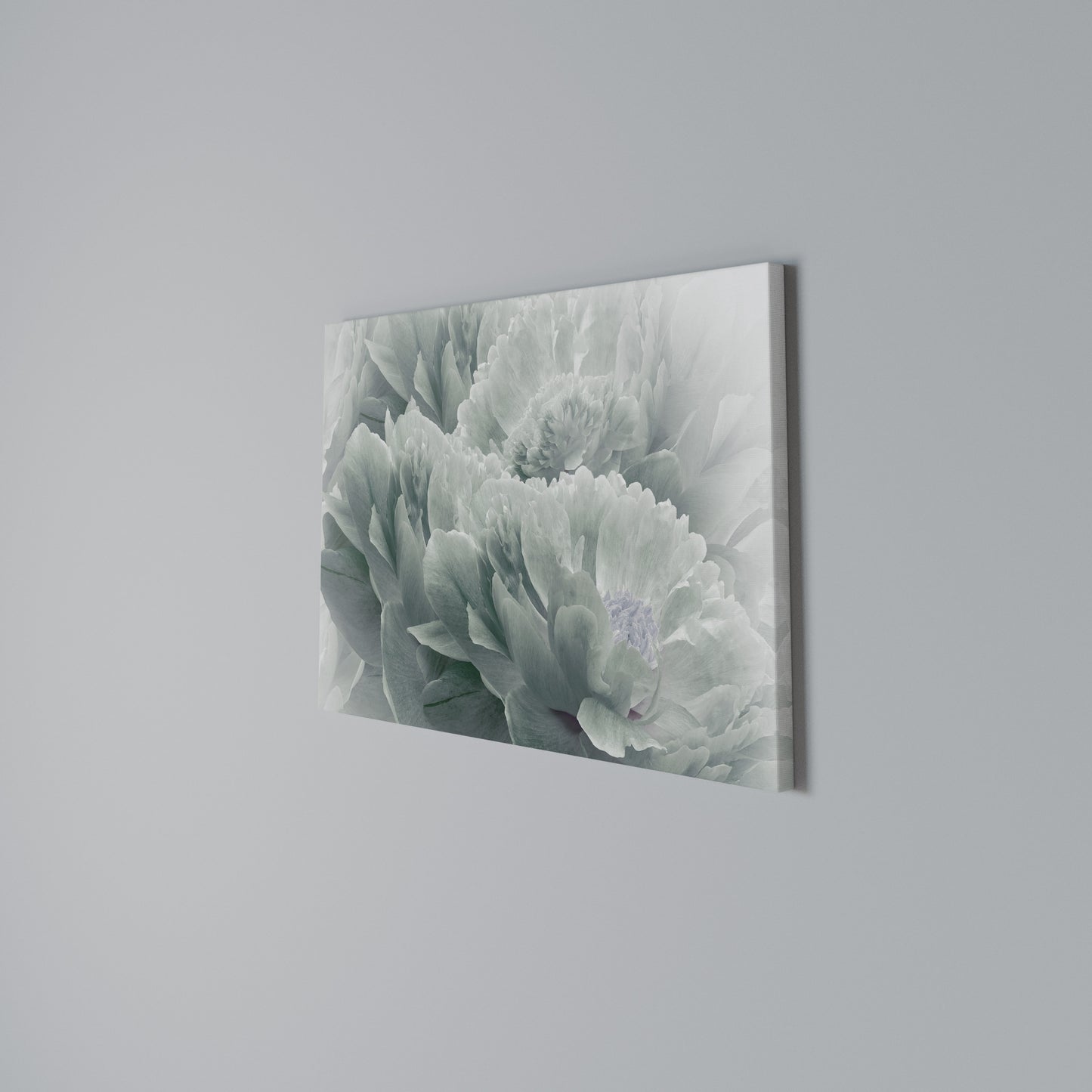 TREE PEONIES Stampa su tela orizzontale