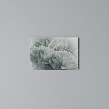 TREE PEONIES Stampa su tela orizzontale