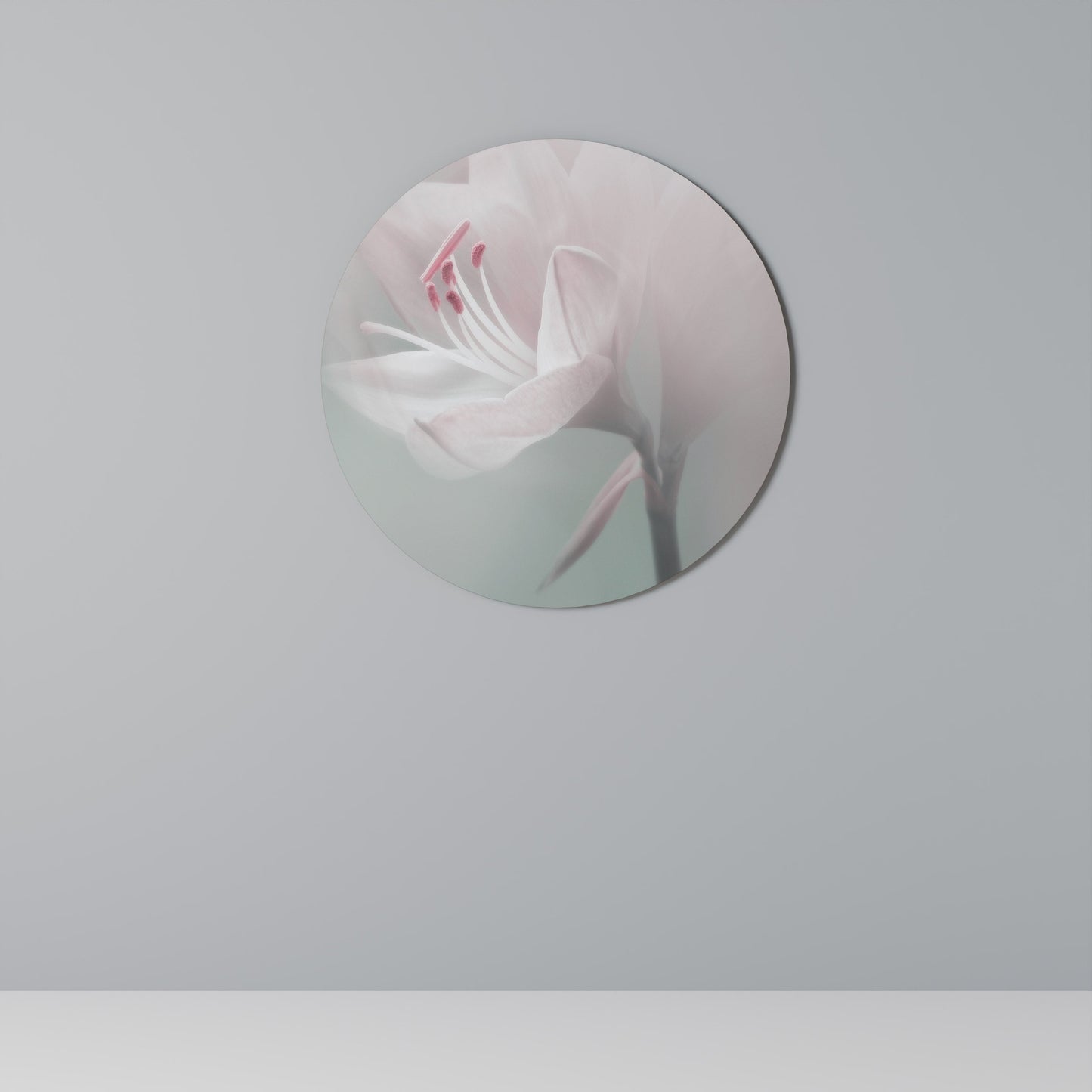 GENTLE LILY - Decorazione murale rotonda