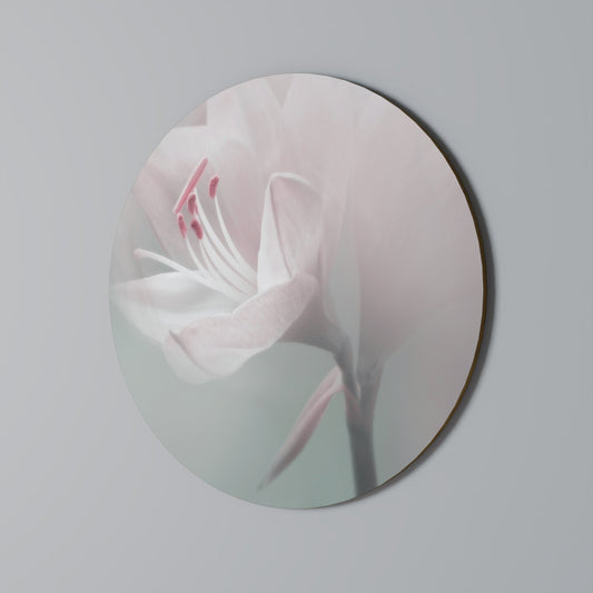 GENTLE LILY - Decorazione murale rotonda