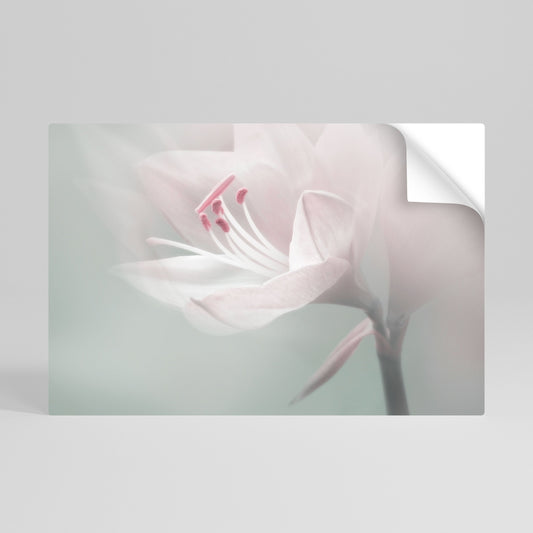 GENTLE LILY Poster orizzontale staccabile e attaccabile
