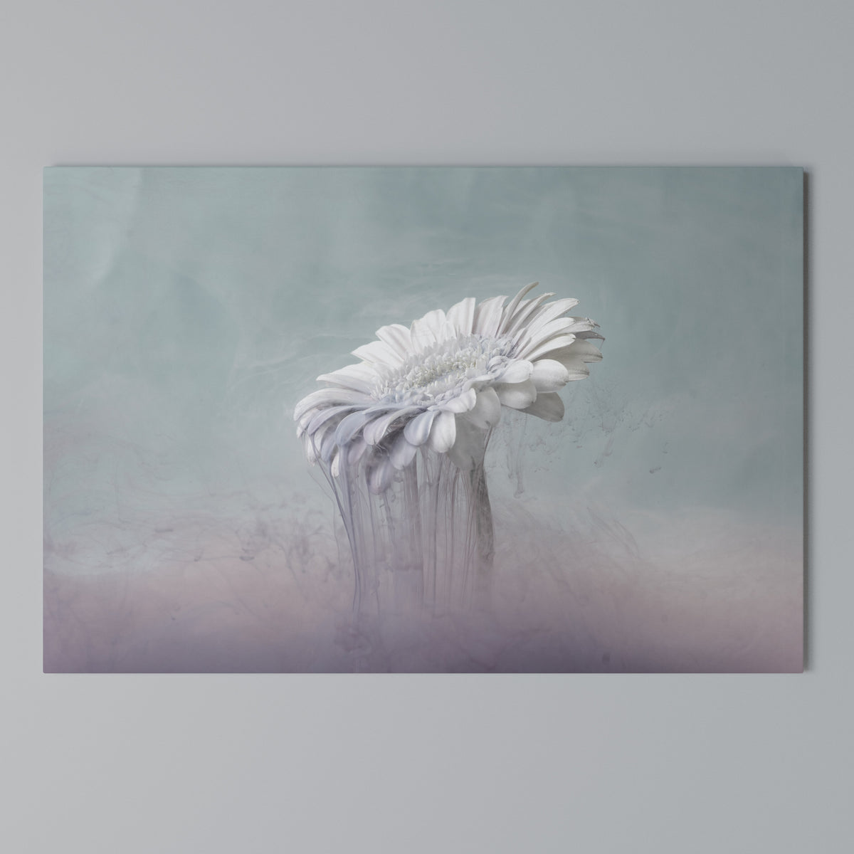 MELTING GERBERA Stampa su tela orizzontale