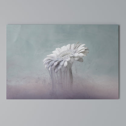 MELTING GERBERA Stampa su tela orizzontale
