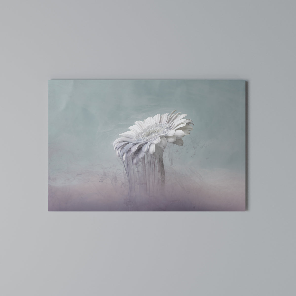 MELTING GERBERA Stampa su tela orizzontale
