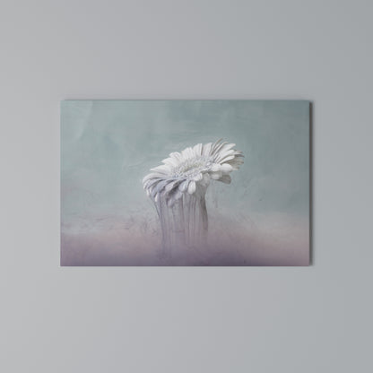 MELTING GERBERA Stampa su tela orizzontale